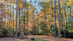 A Majestic Mountain Getaway, Walk to Lake Hiwassee - Image 5