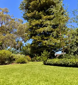 Garden cottage - Image 4
