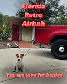 Florida Retro Airbnb - Image 2