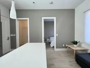 Brand New Modern Laneway House - Image 4