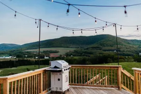 Stargazing Mtn Home w Firepit near Cooperstown - Image 2