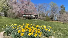 Lakefront - 7 beds - 4 baths - Hot Tub! - Image 3