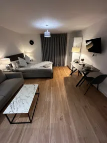 Luxury studio Colindale - Image 4