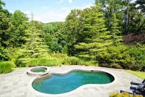 Luxury Suite with Pool, Hot Tub, and Theatre - Image 5