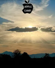 #7 Cabin. Apple Camp. Attractive place - Image 5