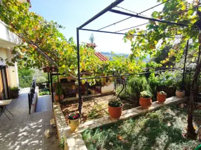 HoneyHouse - Image 5
