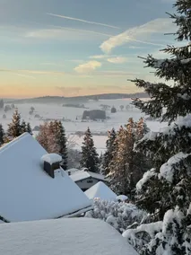 Chalet Pagotin – The Stunning - Image 2