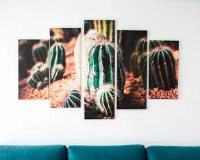Las Caracolas I - Image 3