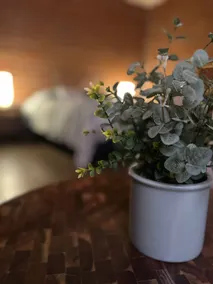 Excellent equipped apartment - Image 3