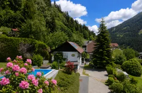 HausStPeter, centrally located in the Carinthian lakes region - Image 5