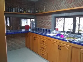 Farm in Guanajuato - Image 4