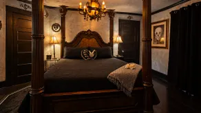 The vampire's den, downtown big house, pets ok - Image 2