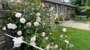 Maplegrove cottage - Image 3