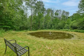 Catskills Tiny Home Cabin: Surrounded by Nature! - Image 4