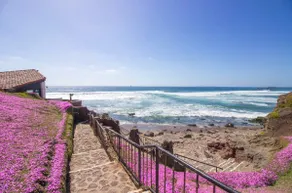 House in La Paloma 229 - Amazing gardens! - Image 4