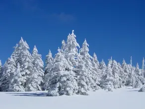 Long-term maximum 50% Takashina elevation 1750m capacity 25 large one-story villa [4 mins walk to ski resort, natural stone wood stove, group] - Image 3