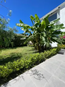 Magic Kefalonia Villa - Image 4