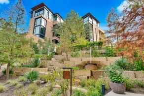 The Water Sol | Stylish Austin Treehouse Vibes - Image 3