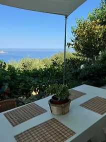 Perfetto Country House - Myrtos View - Image 3