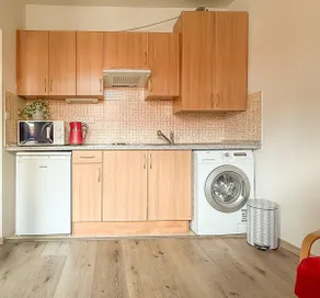 Modern apartment Krymská & Francouzská street - Image 3