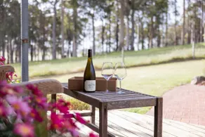 Cosy 2 bedroom cottage with majestic Karri views. - Image 2