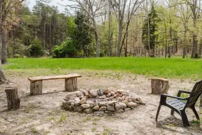 Deer Trail Cabin ~ Mtn views ~ Firepit ~ Hiking - Image 3