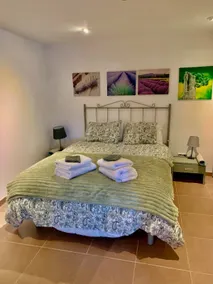 Guest house with private pool 20' from BNA - Image 4