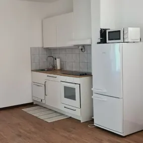Ticino apartment - Image 4