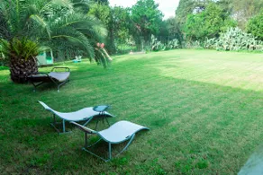 Detached villa near airport (FCO) - Image 4