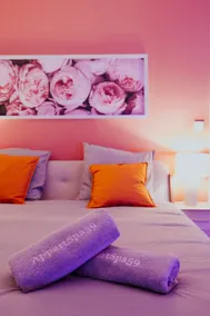 Temptation Suite, Balneotherapy, Sauna, Secret Room optional - Image 2