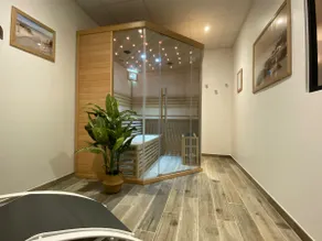 Elegant duplex PARIS, sauna, terrace, parking - Image 3
