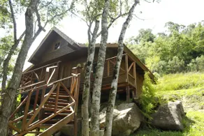 Gracillis Cabin, tranquility with breakfast - Image 5