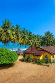 Private Beachfront Home-Ocean View-Total Privacy - Image 2