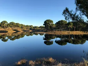 Comporta - Lake Villa - Nature private pool - 8 people - Image 2