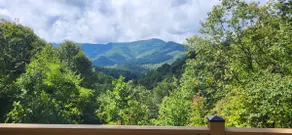 Cozy Mountain Chalet with views, private setting! Near WCU and Castle Ladyhawke  - Image 2