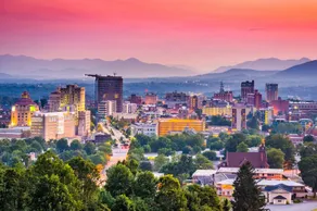 1bd/1ba 2 miles to dwntwn Asheville, hot tub. - Image 2