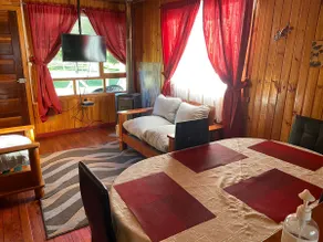 Villarrica Country Cabins 10k from downtown - Image 4