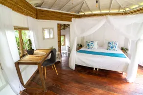 Eco paradise by the river, garden oasis (Colibrí) - Image 2