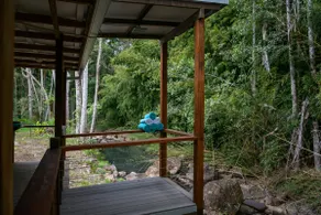 Rainforest Creek: Outdoor Shower - Image 5