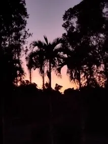 Mountain View Tropical Retreat - Cassowary Coast - Image 3