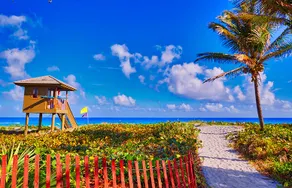 Delray Gem: Near to Beach/Atlantic Ave/Bars/Dining - Image 5