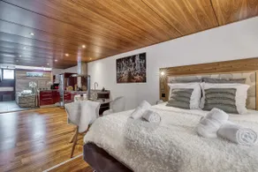 Loft | Balneo jacuzzi tub | AC | Annecy - Image 5