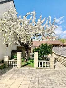 House + Terrace + Parking in Antony, 20 Min to Paris - Image 4