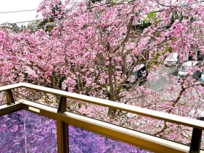 Sagami Bay, Mt. Omuro view | Starry sky | National park | 105㎡ villa | Free WiFi, free parking for 3 cars - Image 5