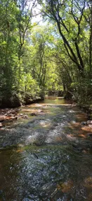Monkey Retreat-Heated Pool/ 5 Suites/ Stream - Image 4