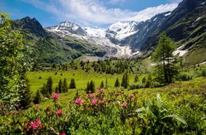Luxury Studio - Mountain View & 100m to Slopes - Near Chamonix - Image 5