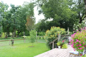 Brushy Creek Country Guest Suite - Image 4