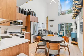 Capitol Hill private terrace & mountain views - Image 2