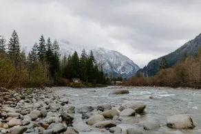 Wild Lily Cabin Retreat - Image 5