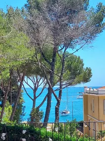Sun, sea, pine and pool retreat in Antibes - Image 2